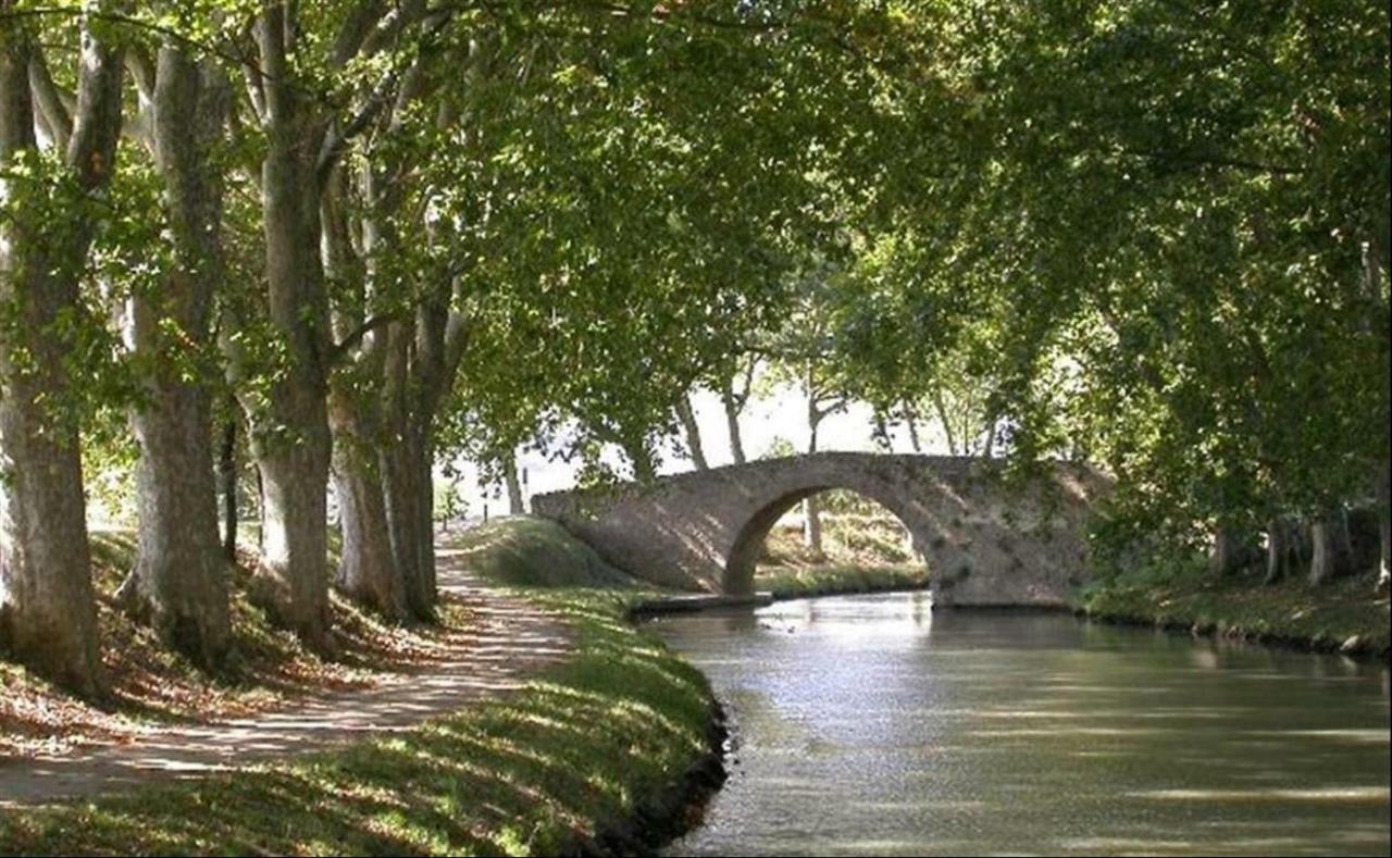 Beziers Studio Terrasse ภายนอก รูปภาพ